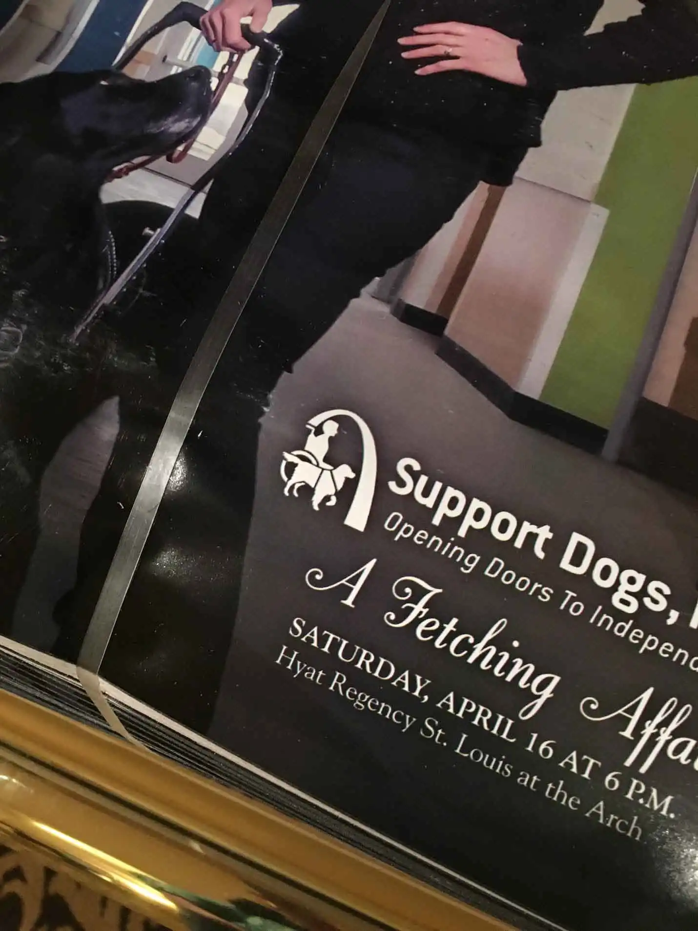 logo for 00463-support-dogs.webp