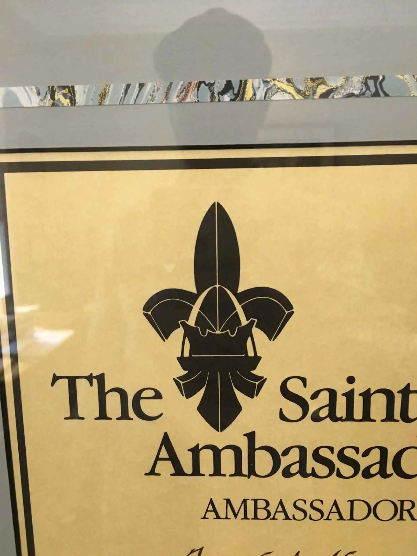 logo for 00476-the-saint-louis-ambassador.webp